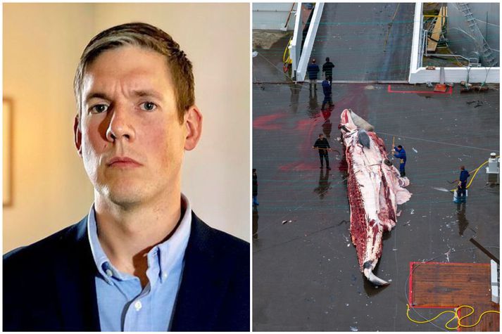 Bjarni Már Magnússon lögmaður er sérfræðingur í íslenskum hafrétti.