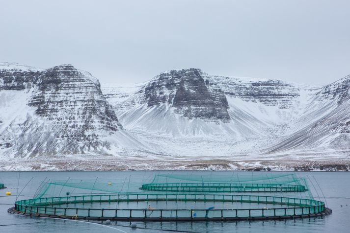 Eldiskvíar í Tálknafirði