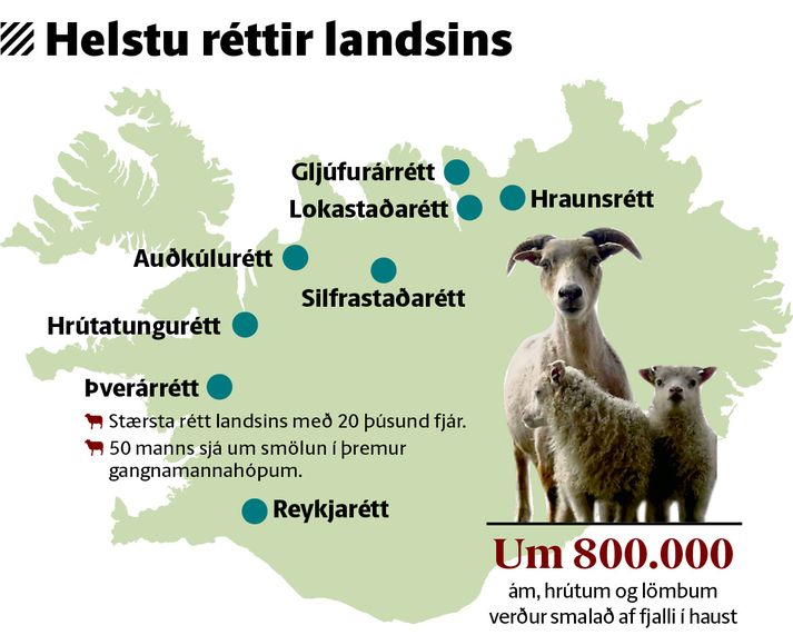 Helstu réttir landsins