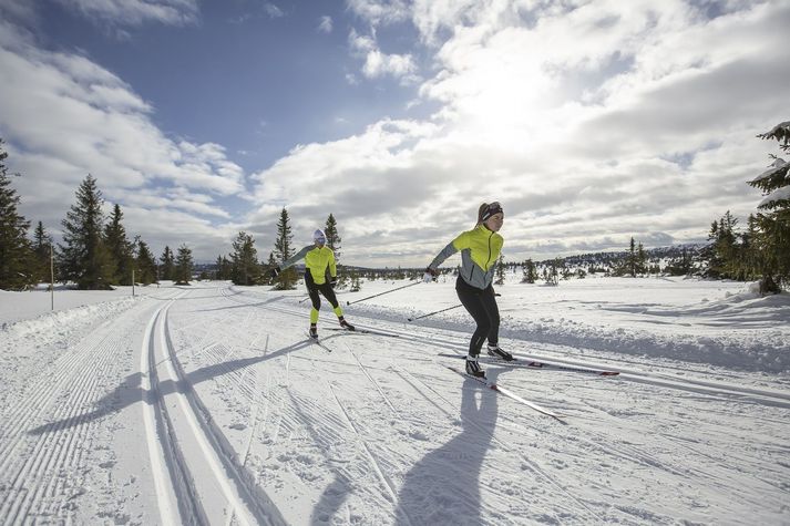 Gönguskíði njóta vaxandi vinsælda.