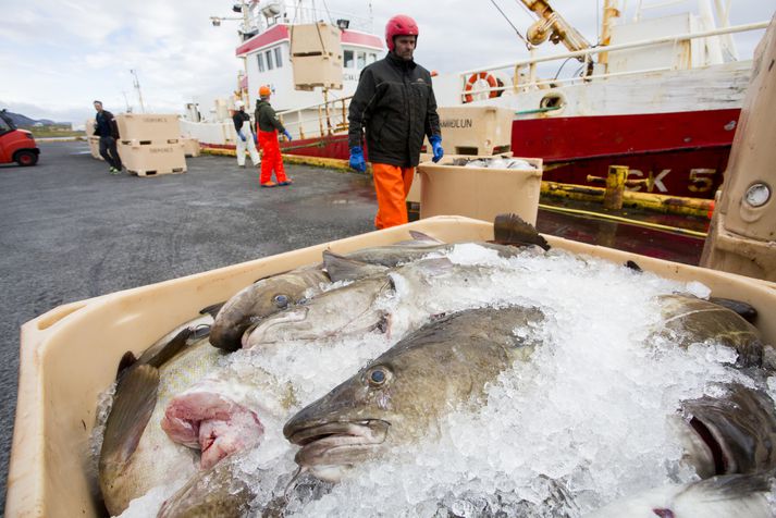 Fiskistofa svipti Kleifarberg veiðileyfi í þrjá mánuði.