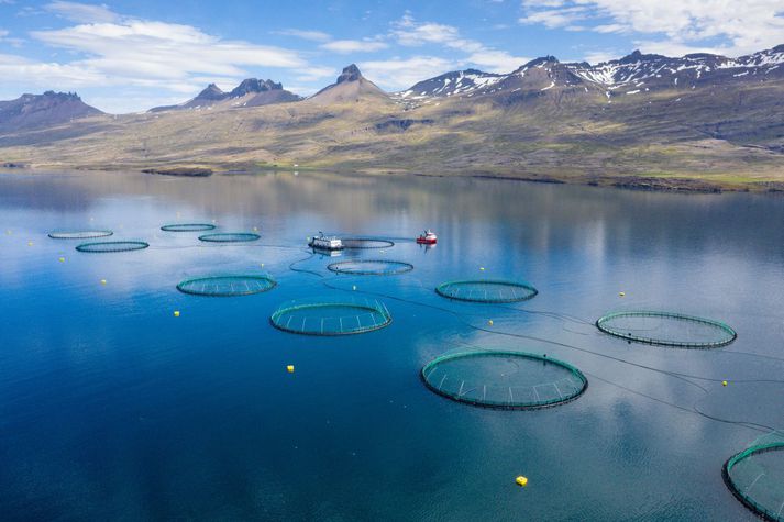 Frá Berufirði. Neytendasamtökin segja að sjókvíaeldi sé beinlínis flokkaður sem mengandi iðnaður og því sé alveg úr vegi að tala um vistvæna framleiðslu.