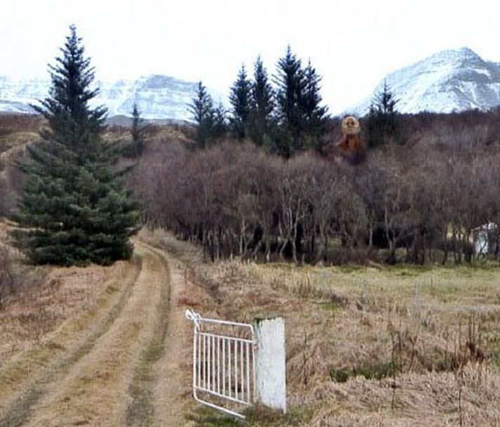 Indverki gúrúinn Sri Chinmoy skýtur hér upp kollinum í skógarrjóðri við Esjurætur.