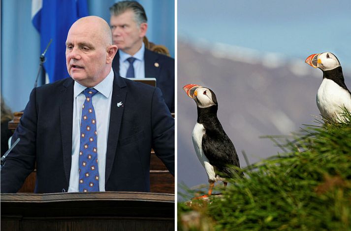 Sigurjón segir að þeir sem eru andvígir veiðum á lunda ættu að koma hreint fram í stað þess að skálda upp einhverja náttúruvá.