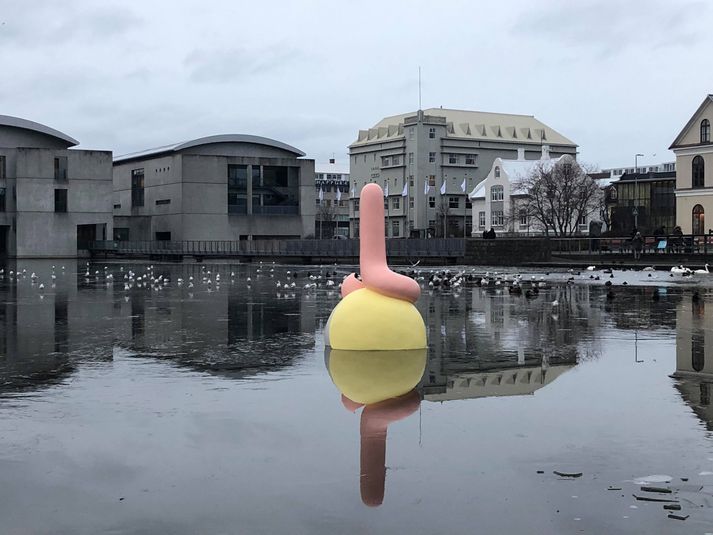 Hér sést Litla Hafpulsan á Reykjavíkurtjörn.