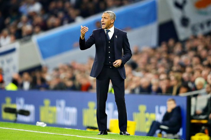 Chris Hughton er stjóri Brighton.