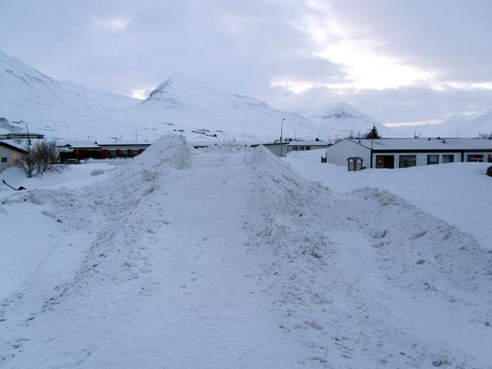 Snjóþyngsl voru á svæðinu þegar slysið átti sér stað.