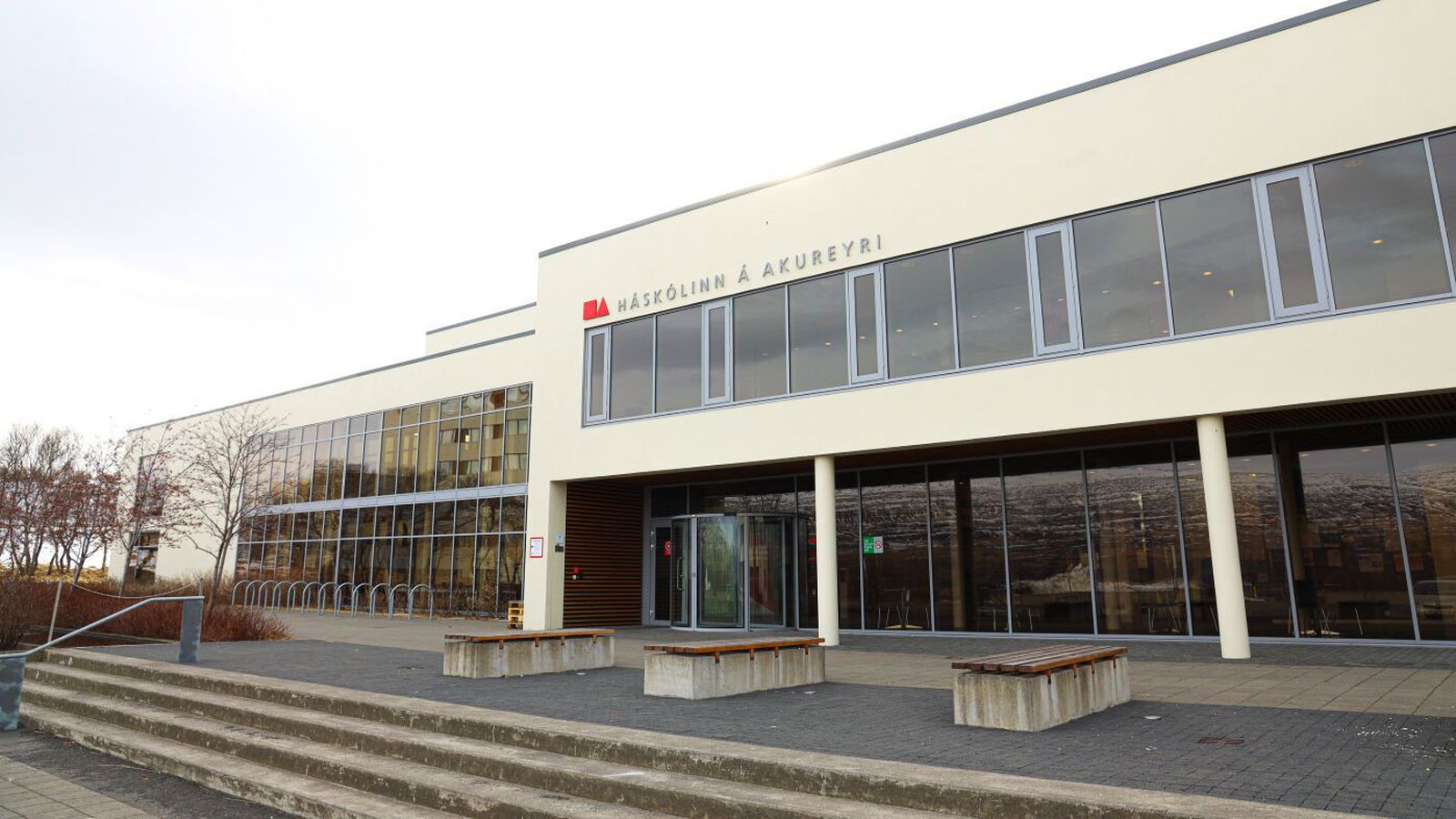 Móta stefnu um notkun gervi­greindar