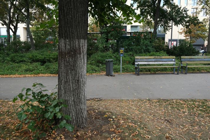 Zelimkhan Khangoshvili var skotinn til bana á þessum stað í Kleiner Tiergarten í Berlín.