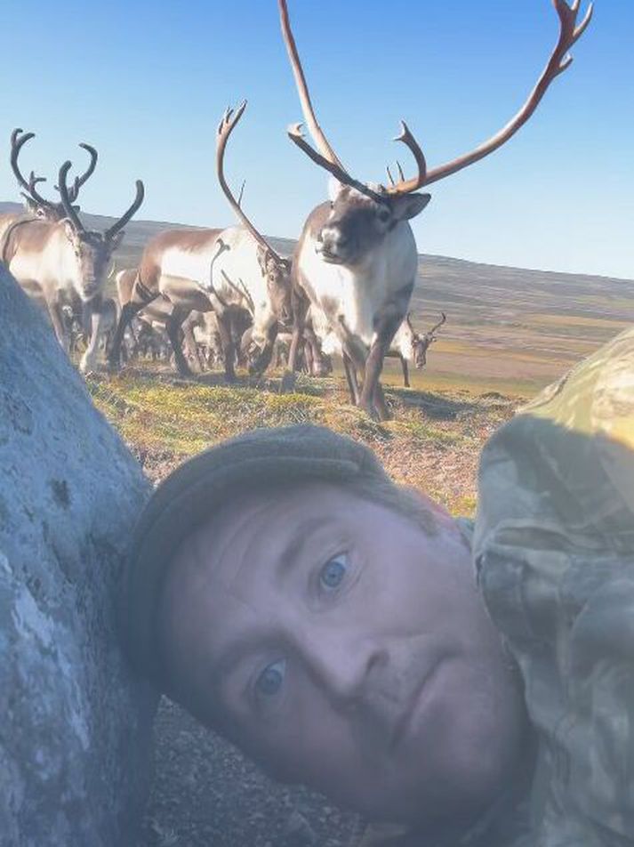 Anton beið rólegur í tuttugu mínútur eftir því að hjörðin færi. 