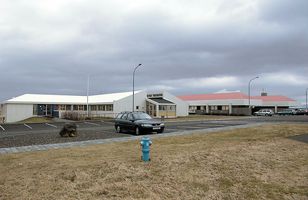 Fréttamynd