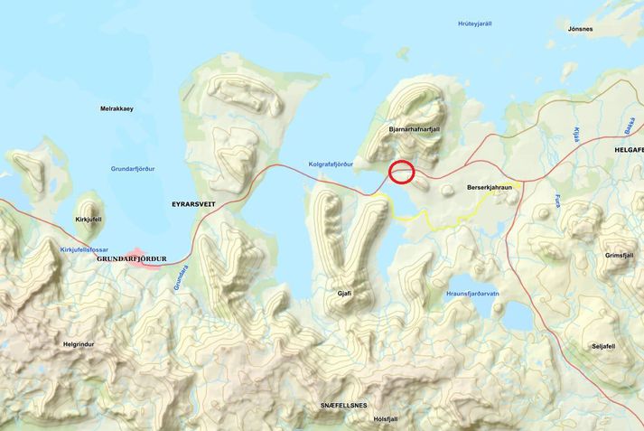 Slysið varð í Seljafirði.