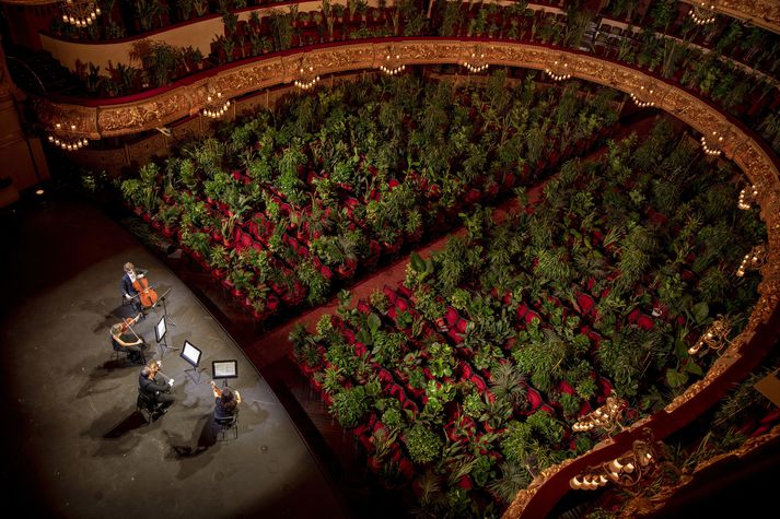 Kvartettinn tekur lokaæfingu fyrir tónleikana blómlegu í Gran Teatre del Liceu í Barcelona.