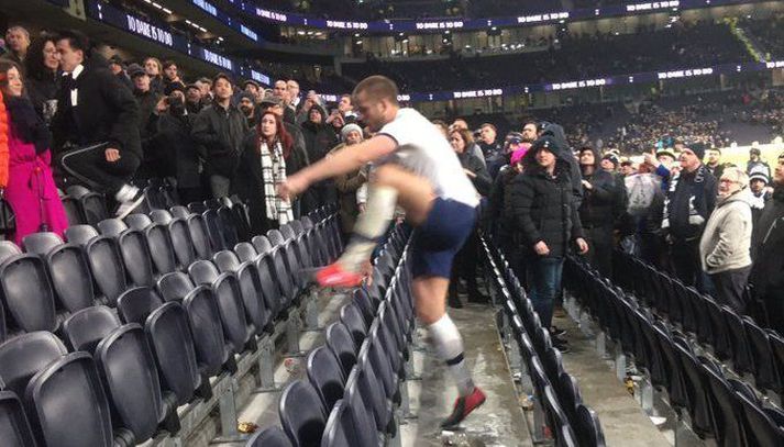 Eric Dier æðir upp stúkuna til að ræða við stuðningsmann Norwich City.