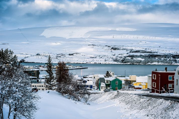 Myndin er birt með góðfúslegu leyfi höfundar.
