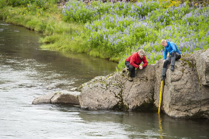 Stórt lón myndaðist þar sem Hítará mætti aurnum. Áin fann sér farveg framhjá niður í Tálma.