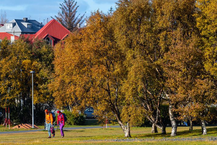 Það ætti að vera fínasta haustveður víðast hvar á landinu í dag.