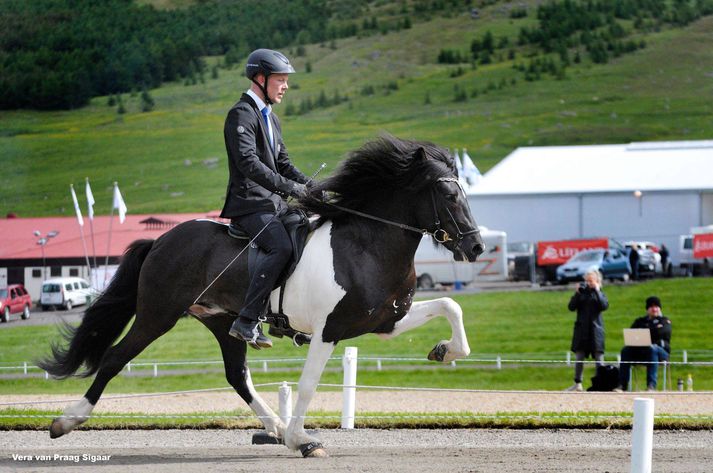 Þórarinn Eymundsson og nýi
heimsmeistarinn, Þráinn frá Flagbjarnarholti. Þráinn er
brúnskjóttur.