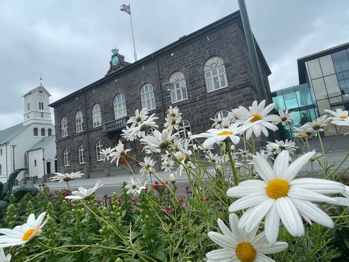 Maðurinn freistaði þess að stinga lögreglu af en án árangurs.