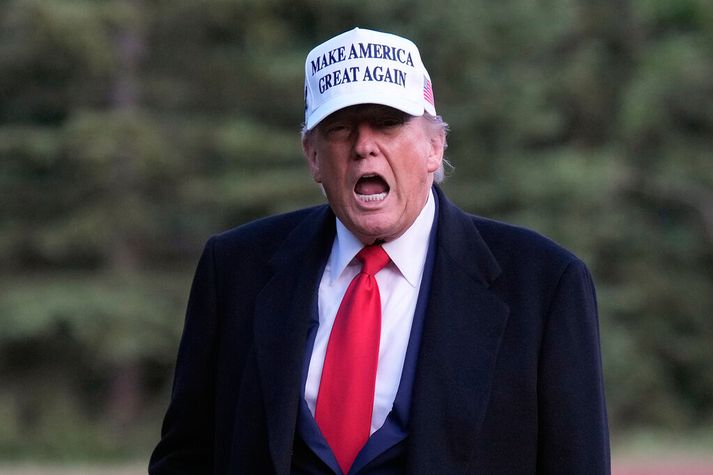ICE á að láta til skarar skríða í Demókratavígjum á borð við Chicago og New York að mati Trumps.