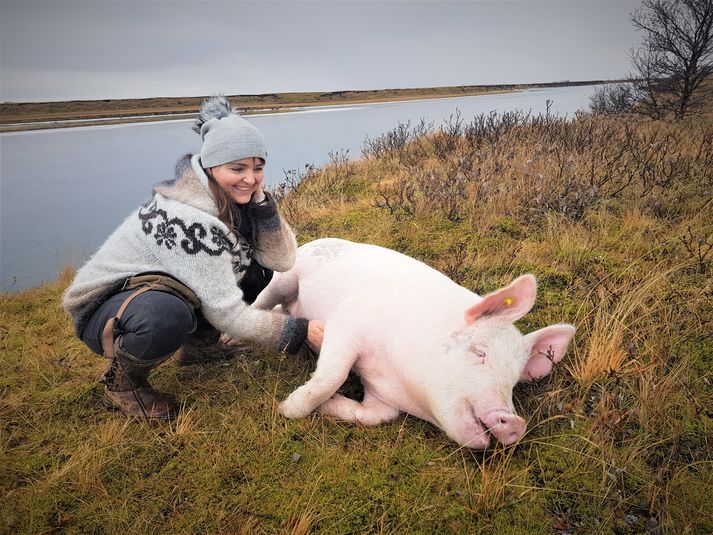 Mikill vinskapur hefur skapast á milli Gríshildar og Siggu enda tímir hún ekki að slátra henni og hvað þá að borða hana um jólin. Gríshildur elskar að láta Siggu klóra sér.