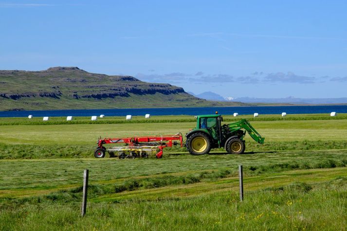 Heyskapur í Búðardal í Dalabyggð.