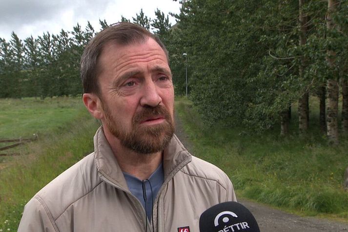 Reynir Finndal Grétarsson, íbúi í Mosfellsdal, kíkti út um gluggann heima hjá sér fyrr í dag og sá þar nokkra minka í garðinum.