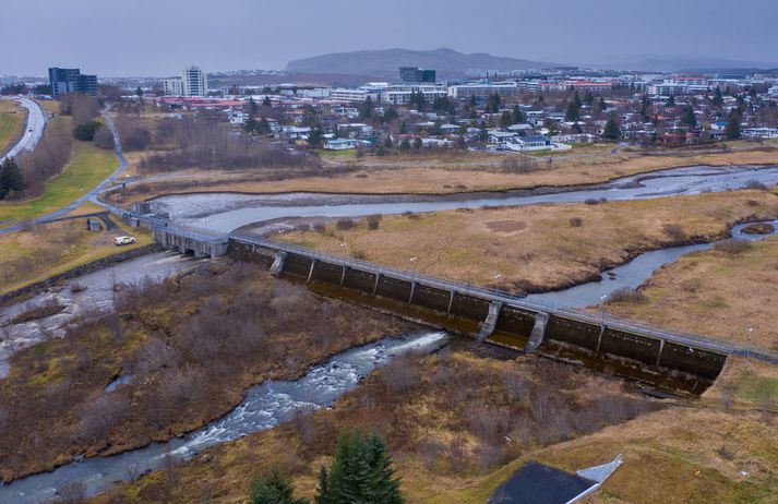 Lónið var tæmt á haustmánuðum 2020.