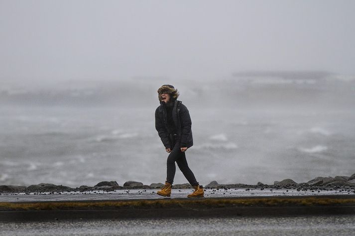 Djúp lægð sem mun taka sér bólfestu suðaustur af landinu á morgun og færa okkur hvassan vind.