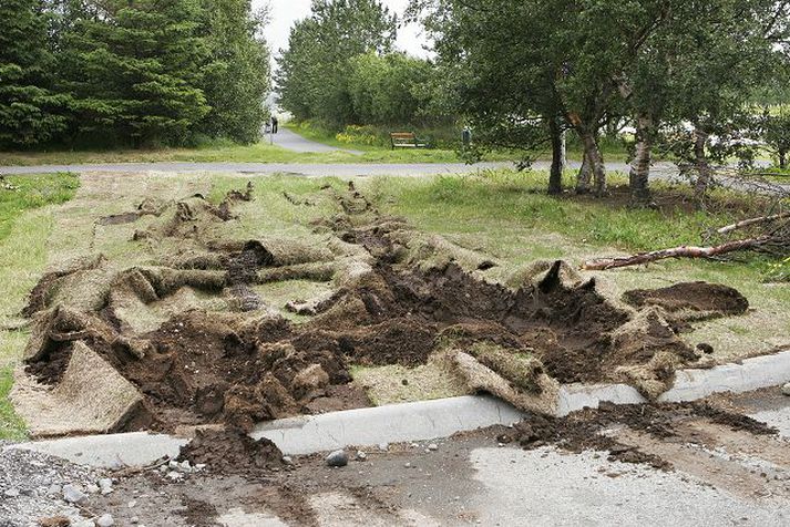 Sá sem fór hér um á fimmtudag hefur ekki verið að spara hestöflin.