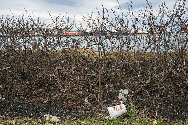 Nágrannar mannsins lýsa miklum sóðaskap vegna hans. Rusli hafi verið hent af svölum og jafnvel kviknað í ruslapoka í sameign. Þá hafi verið ummerki eftir fíkniefni í bílakjallara.