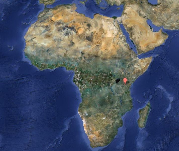 Maðurinn lést í Arusha í Tanzaníu, skammt frá rótum Kilimanjaro.