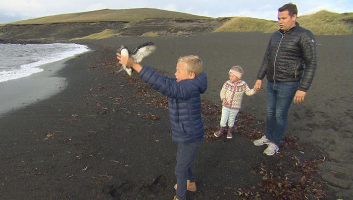 Í innslaginu fá áhorfendur að fylgjast með pysjubjörgun í Vestmannaeyjum.