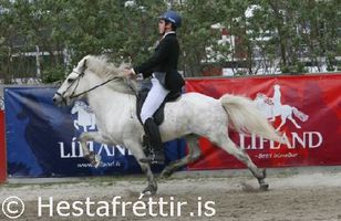 Fréttamynd