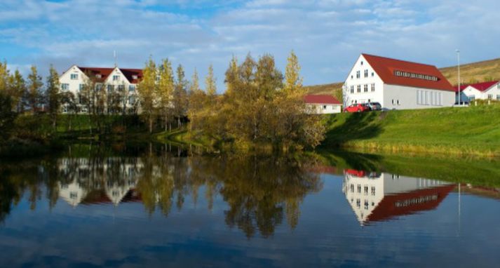Miðað er við að mennta- og menningarmálaráðherra skipi í stöðuna til fimm ára frá 15. september næstkomandi.