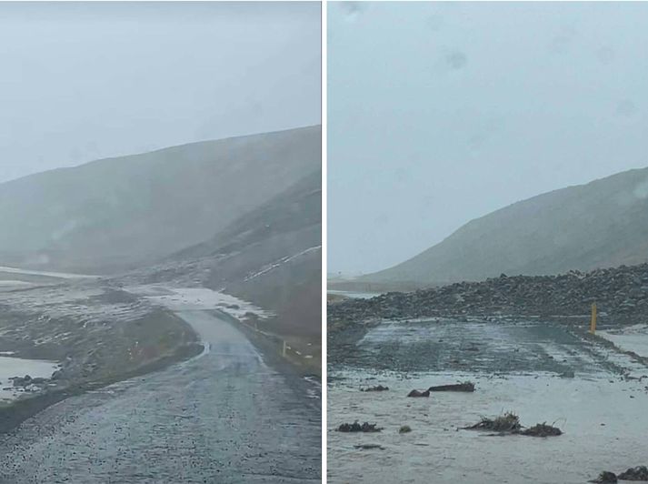 Skriðan var talsvert stór.