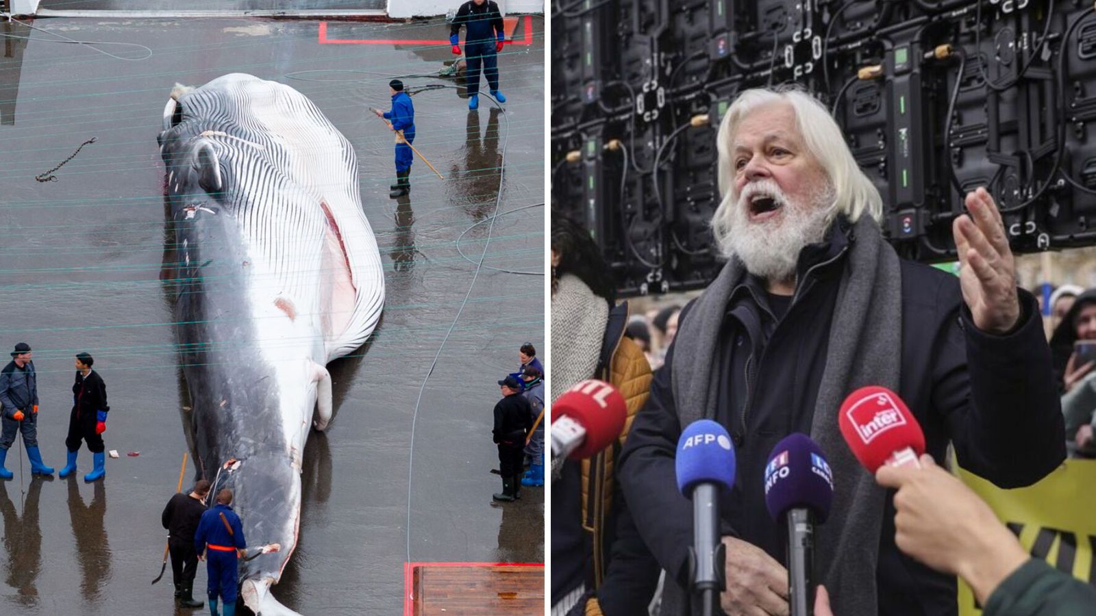 „Þegar við komum til Ís­lands munum við stöðva hann“