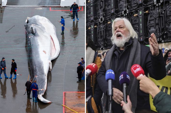 Landhelgisgæslan er í startholunum ef skip Paul Watson mætir til Íslands.
