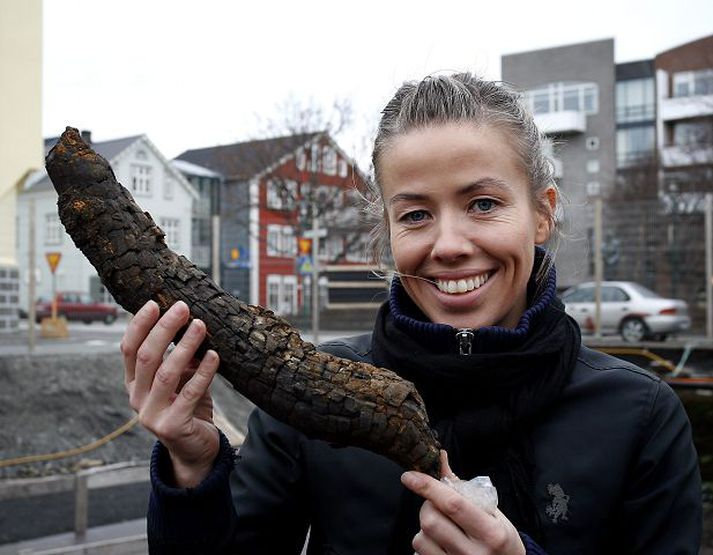 Þessi birkibútur úr gamalli kolagröf er frá 870.  Vala hefur ekki fundið neitt sem sýnir ótvírætt fram á að í Reykjavík hafi verið föst búseta fyrir þann tíma. Líklegra sé að fólk hafi dvalið hér árstíðabundið, fyrir eiginlegt landnám, en ekki haft fasta búsetu. Fréttablaðið/GVA