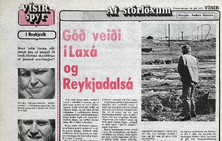 Vísir í júlí árið 1977.