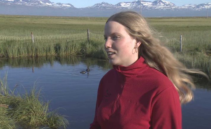 Arney Arnardóttir, 16 ára. Kóparnir Villingur og Sölvi svamla í tjörninni fyrir aftan.