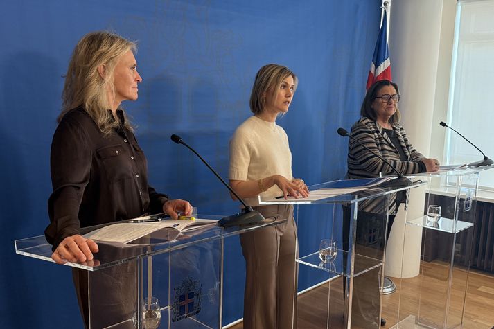 Aðgerðirnar voru kynntar á blaðamannafundi í morgun.