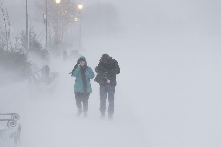 Það mun einna helst snjóa á norðan- og austanverðu landinu í dag.