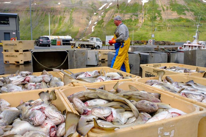 Heildarafli íslenskra skipa minnkaði um 17 prósent frá 2018 til 2019.