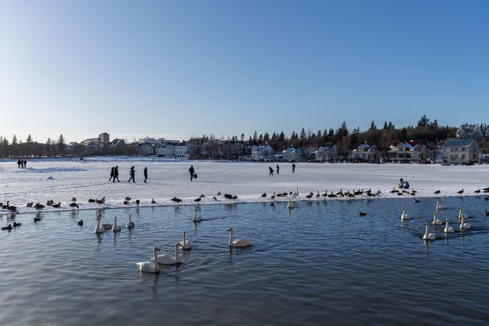 Vetrarveður við Reykjavíkurtjörn