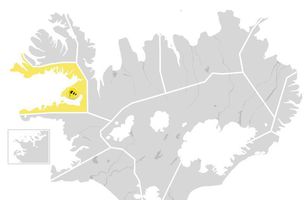 Fréttamynd