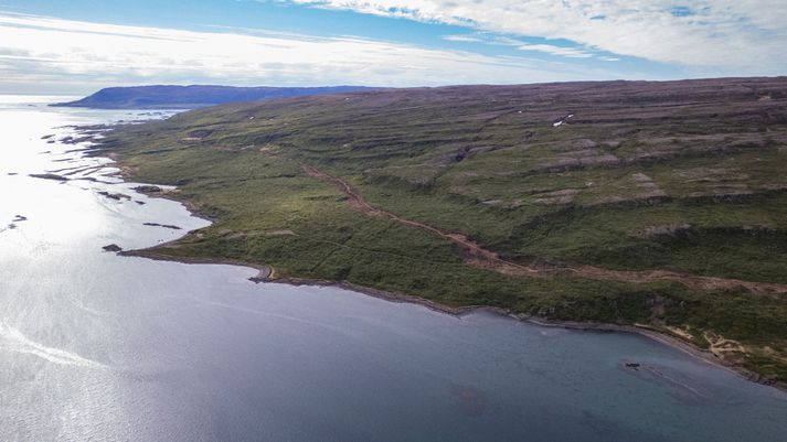 Byrjað var að ryðja Teigsskóg við Þorskafjörð undir vegaframkvæmdir í sumar. Lengi hafði verið deilt um leiðarvalið.