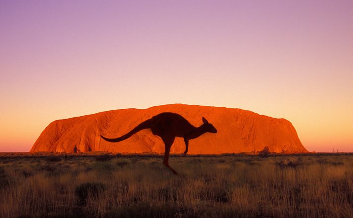 Fjallið Uluru er heilagt í hugum ástralskra frumbyggja.