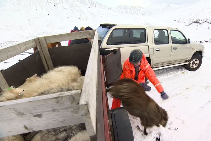 Fé rekið af kerru á Dómadalshálsi. Hálkan var svo mikil að jeppinn komst ekki upp.