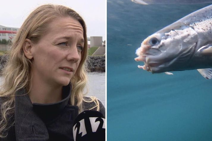 Hrönn Ólína Jörundsdóttir er forstjóri Matvælastofnunar. Hún telur ekki að illa farinn lax sé algengt vandamál hjá fiskeldisfyrirtækjum.